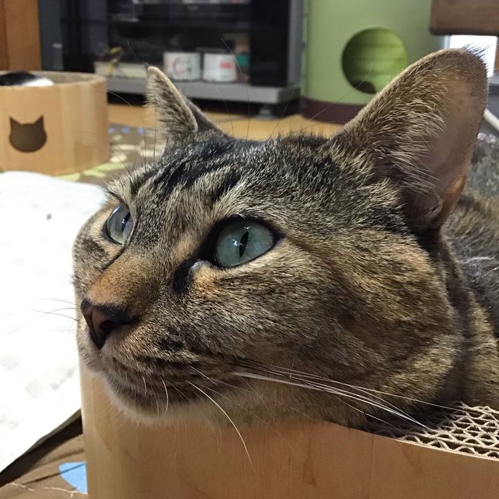 5cfe90e1 937a 4c79 9d03 bbf9bc8584a7 1734594657720