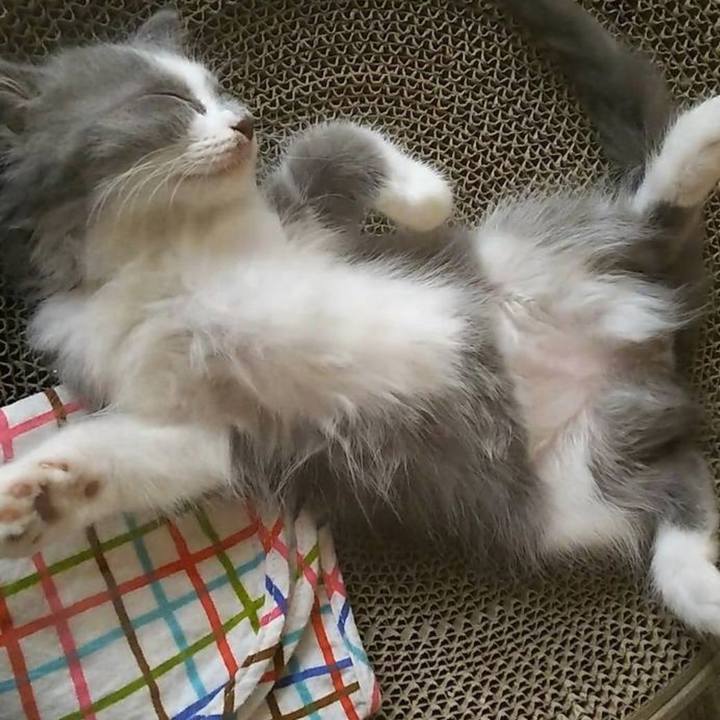 5cfe970e 3a47 4d9a 9cf4 f7e7d9d8d155 1643371187283