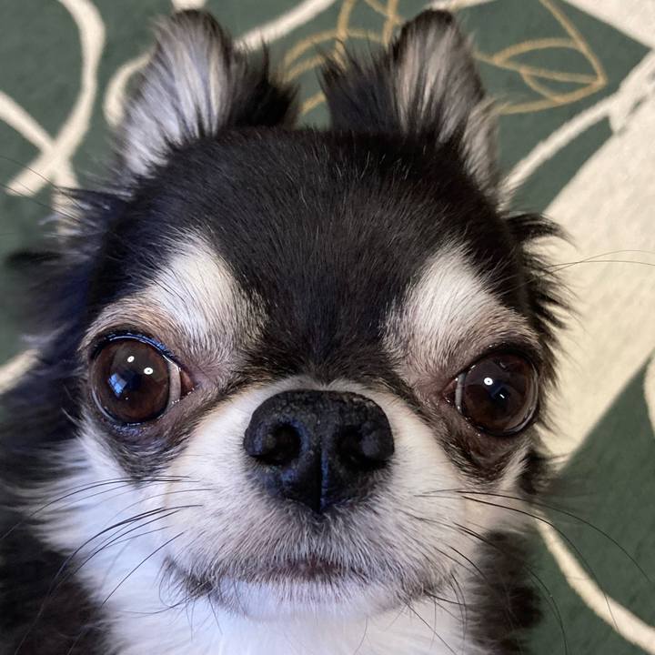 5cfeb9c5 2f3a 419f aea5 e060a0acf4cb 1649546273958