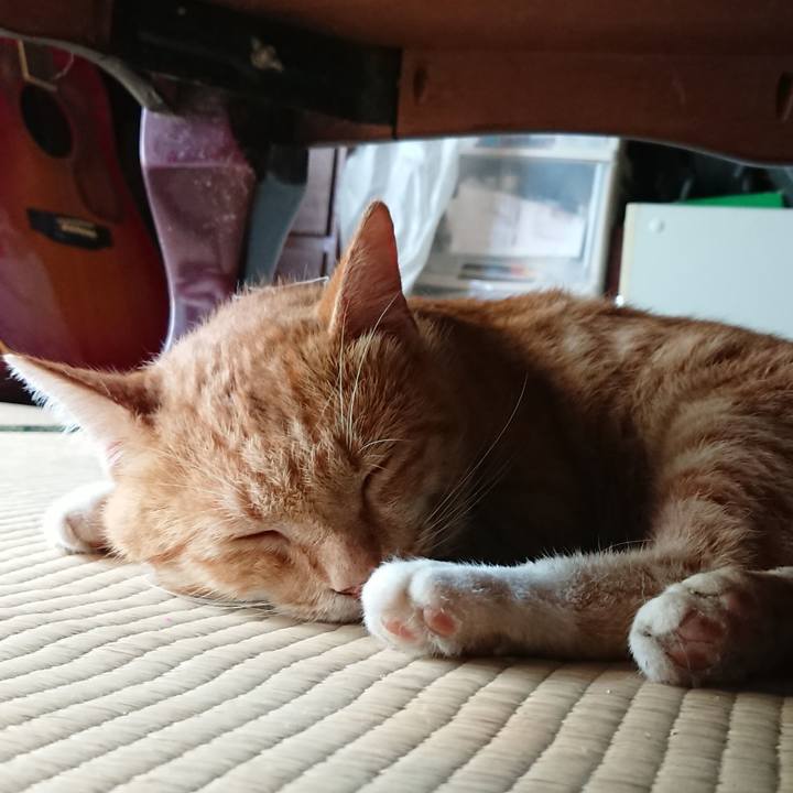 5cfec8ce 5bde 4699 8849 80463516bd99 1566103755067