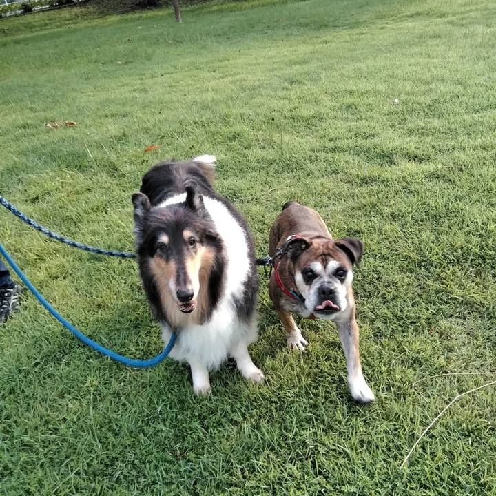 5cfed196 dec0 41e9 8e7e 7cdfacde365c 1536243893134