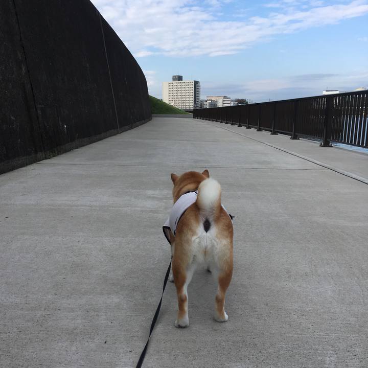 5cfee04d 70f8 44aa a506 36eb0d74ddf5 1539913040008