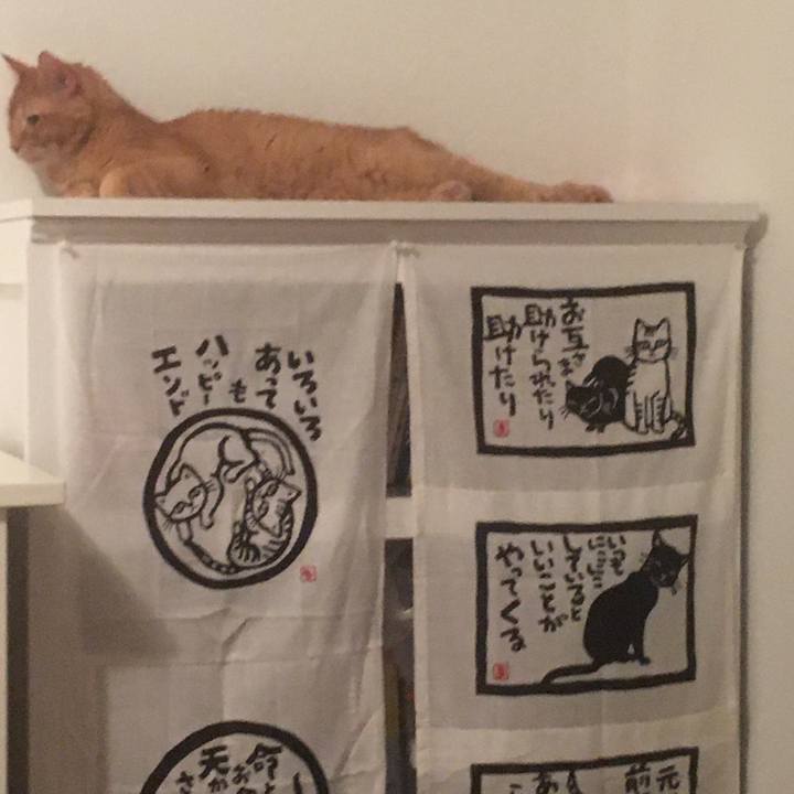 5cfef5a4 3128 41d0 9454 c2f0eefd10ef 1654905817504