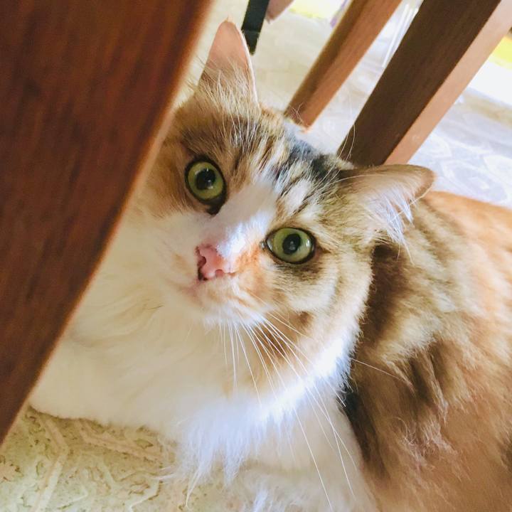 5cff1848 3500 4131 ada6 fbdac88fb147 1564299622165