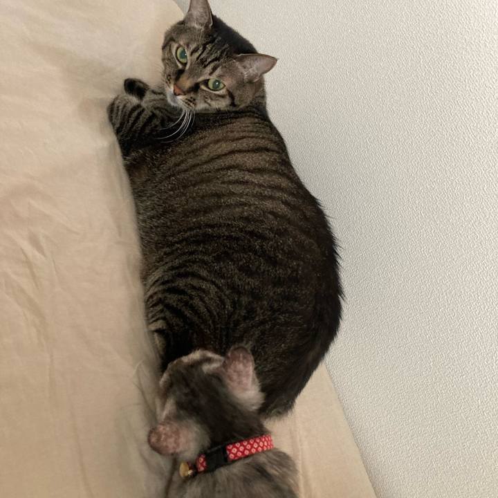 5cff35d7 8add 4ea6 95fc 24b39b32c62c 1693809470946