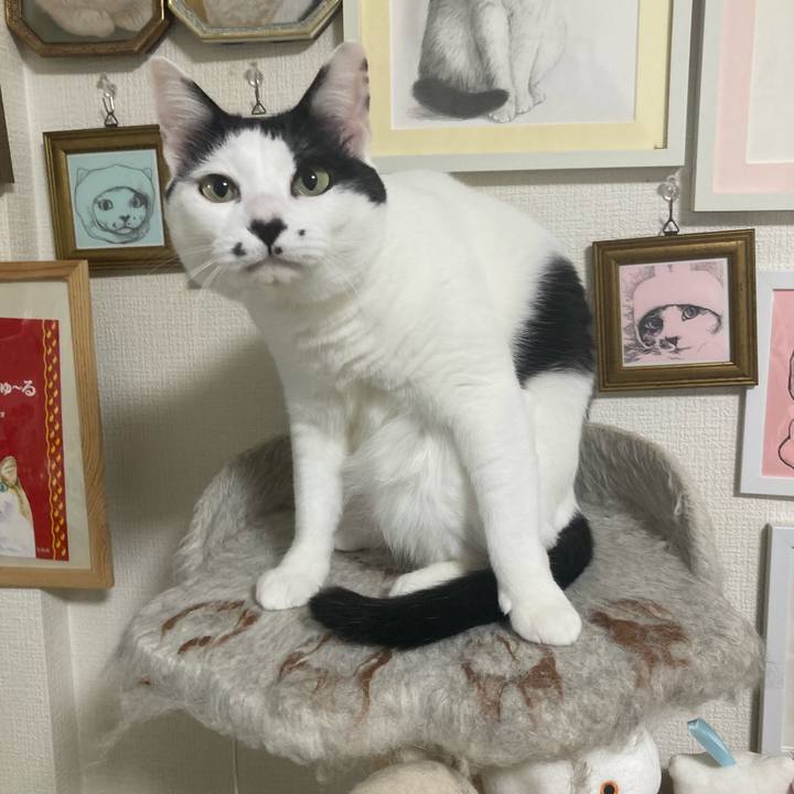 5cff435b ba36 4308 9832 387fa31a9442 1775076116485