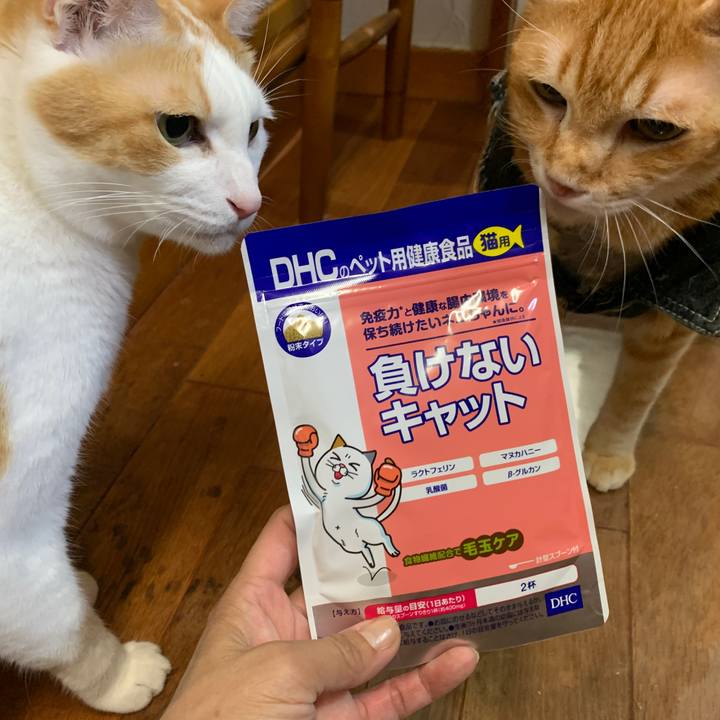 5cff44b3 648d 4773 9dd2 9417ffbe413a 1661600573095