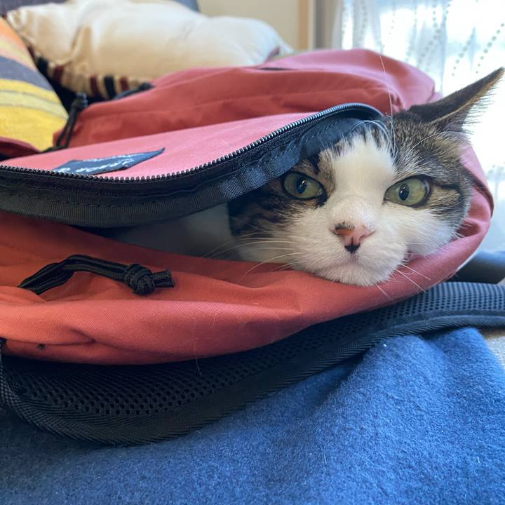 5cff8efb 2763 42ad 8a20 73dd02cdad3a 1599203996056