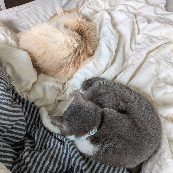 5cff9125 eb2f 4675 969a cac1dbd1e8ec 1743555633457