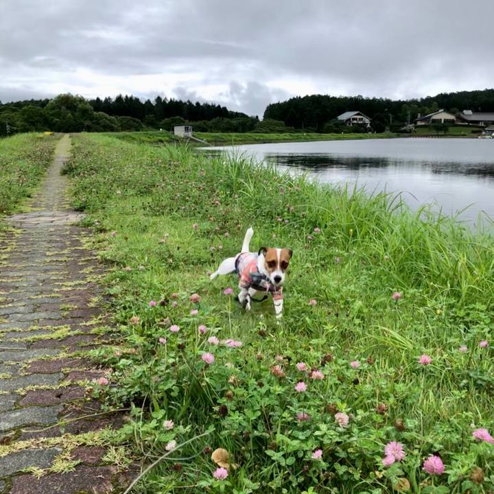 5cffe50d de4c 4f48 8775 49684f2de9df 1596000756827