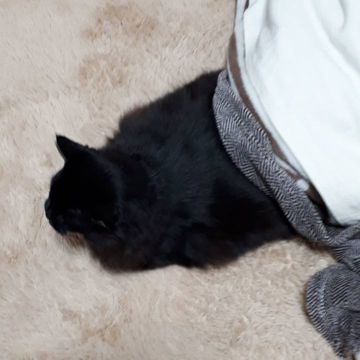 5d000738 8b59 45c2 89ab 44287390dde1 1518763795046