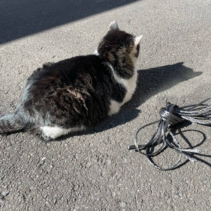 5d001436 58f7 4797 a81c 87b323d2ec0f 1642754986832