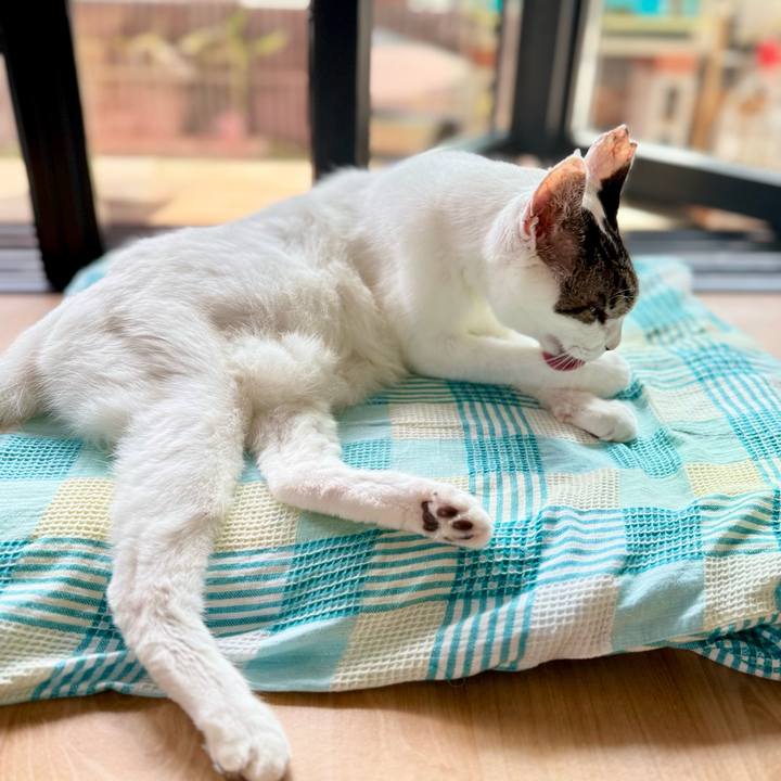 5d004009 7a64 4f0c ad30 8600471f3e62 1759631158131