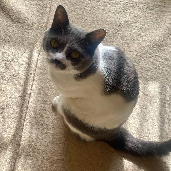 5d00a1a9 a9b3 44b0 b86c ce9c1d350cf5 1737772009421