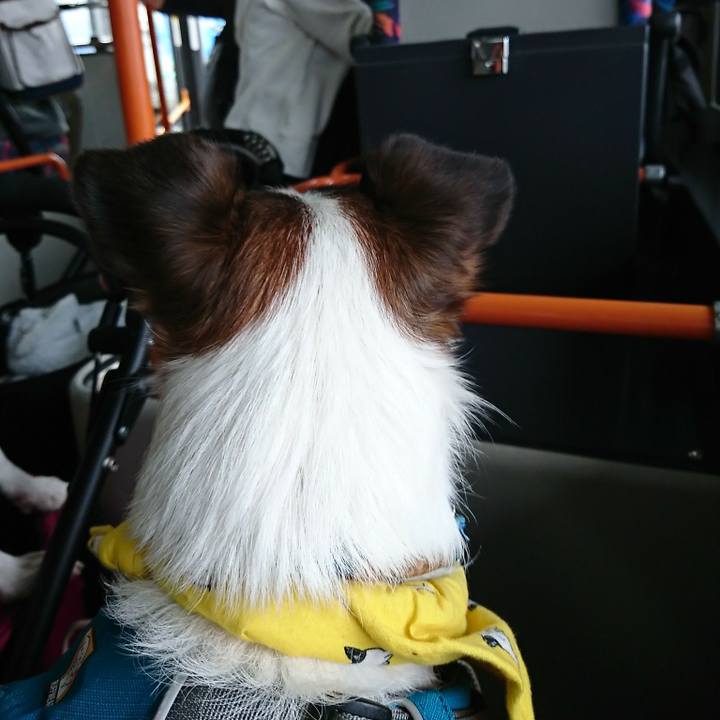 5d011994 4205 4438 b77e ab8b463cac66 1553908124164