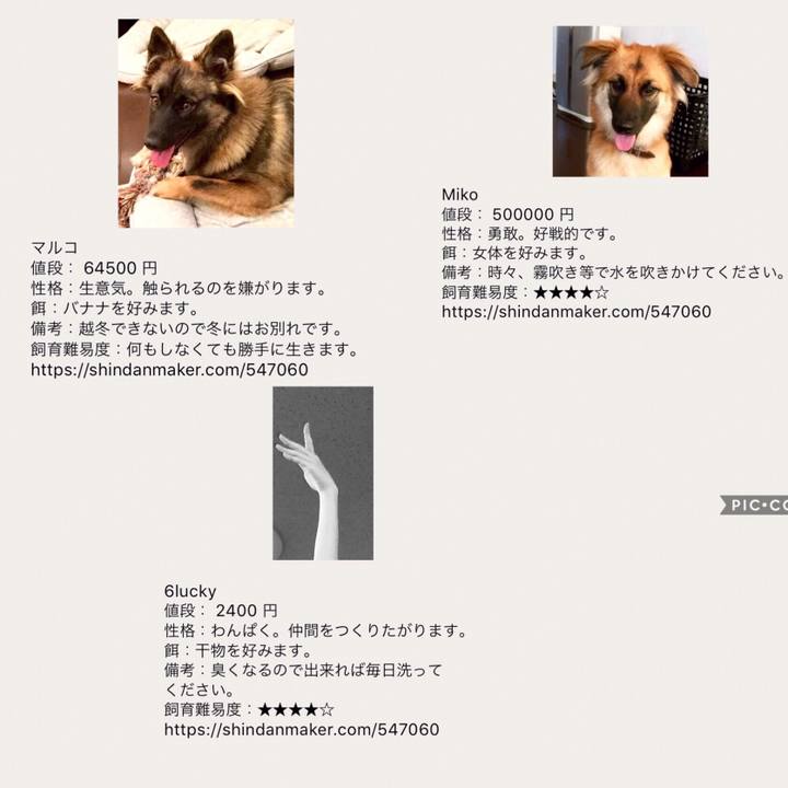 5d012b1b bfe7 4d3d a947 4426c124cf47 1530063243479