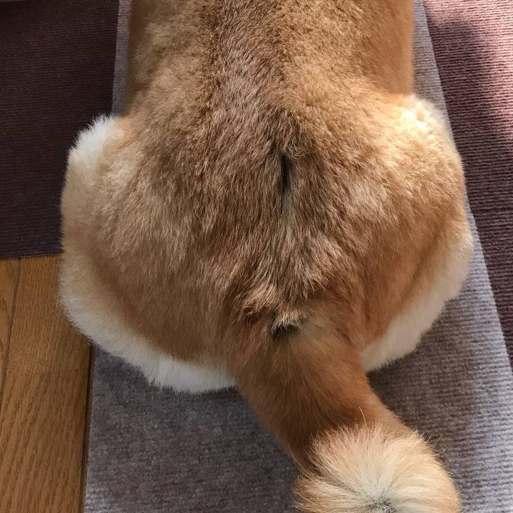 5d0136e6 36a7 4474 99f3 d379c2e59d9d 1524465200320