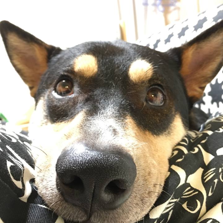 5d014ebd 20bd 4c03 b85a 461f3cc4aaa9 1539436270290