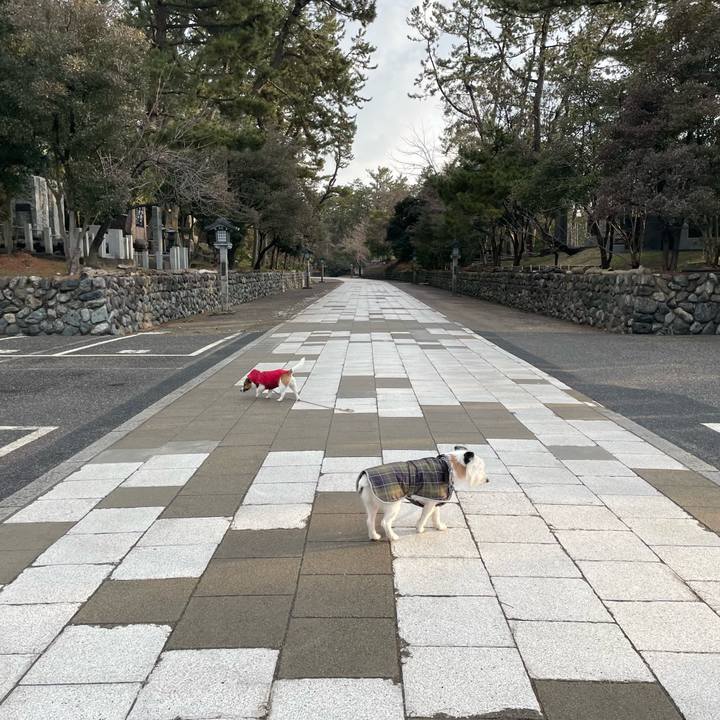 5d016663 d317 4f85 8304 f8dbd1692e9c 1646262227970