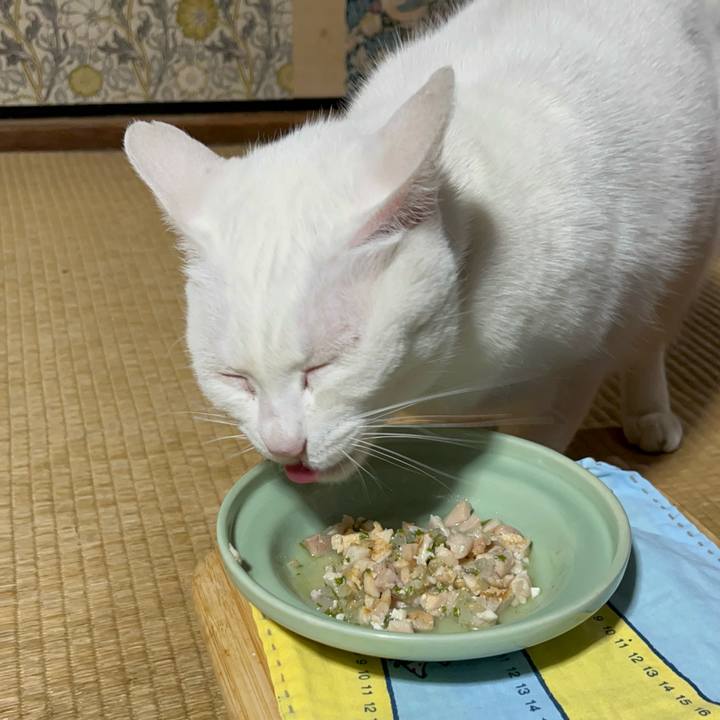 5d01b490 75f1 43ec 8921 775c5315dc57 1768564342894