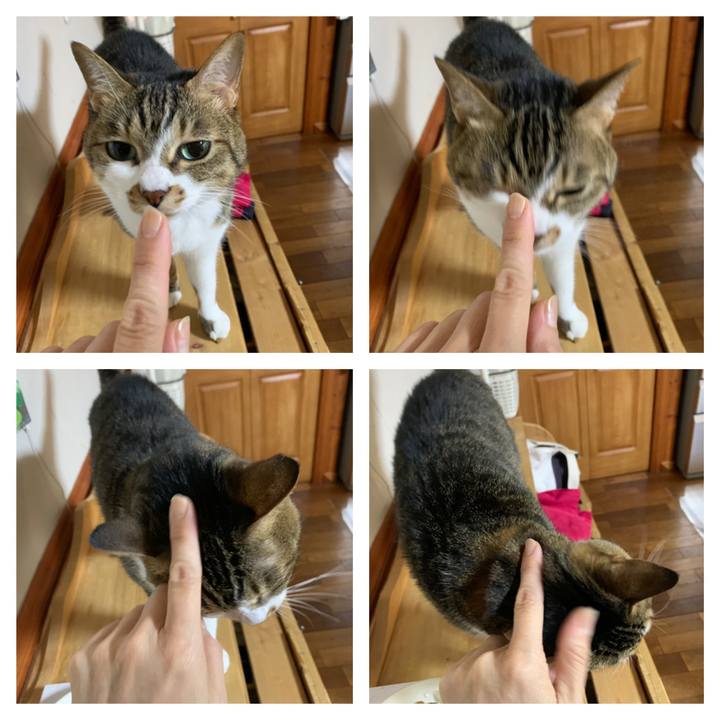 5d01c3f6 d1b2 42fb b574 6120e0156864 1652906964530