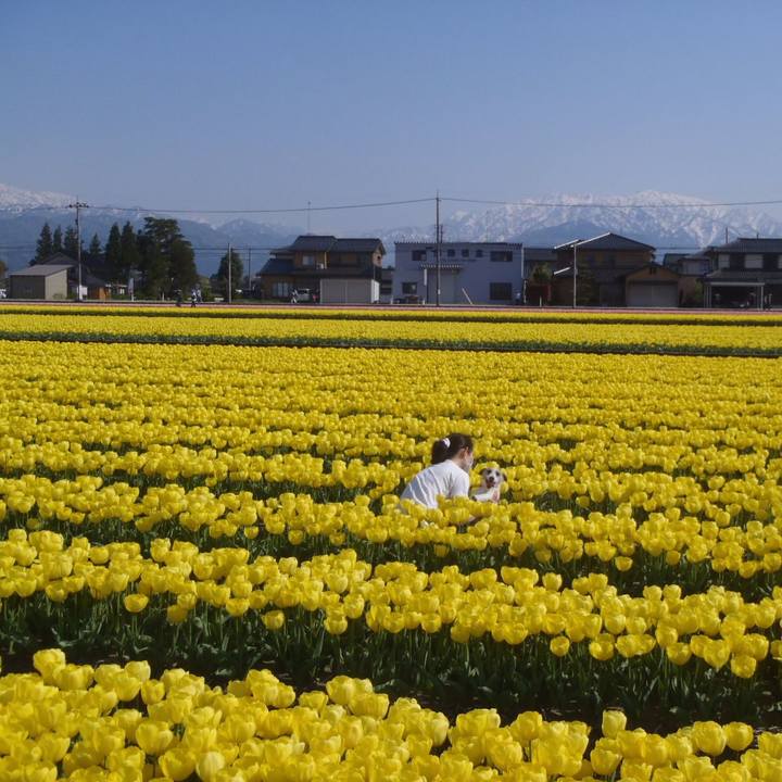 5d0209b5 0997 44eb 9793 4421488e598f 1524385272991