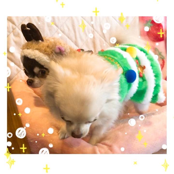 5d0210ba 4a63 43e0 a538 37ae2b55d307 1514114325889