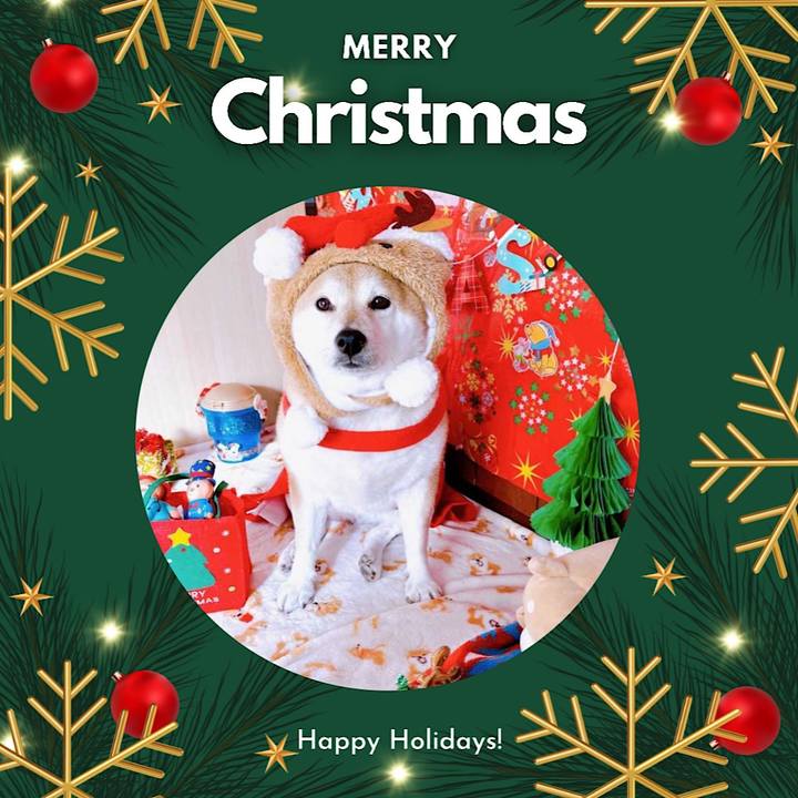 5d02124e a8b0 44a6 84ca 596d3291aa83 1671844016314