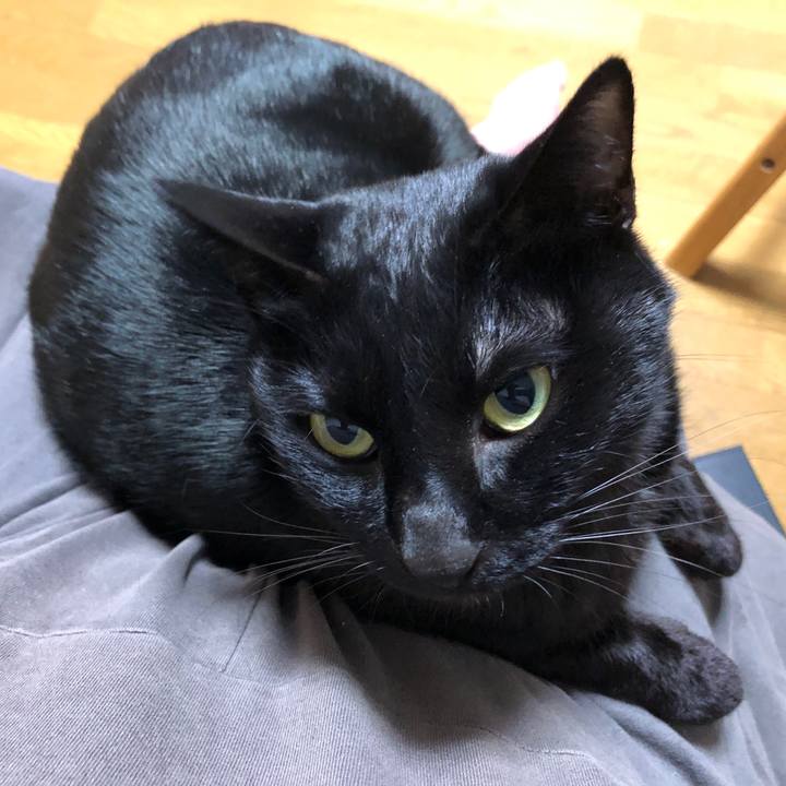 5d021755 d032 4cb2 b4f0 03ddbdc23c3b 1698847516043