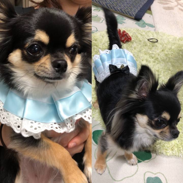 5d0250aa d7af 4197 905b 1d260831da43 1560754209092