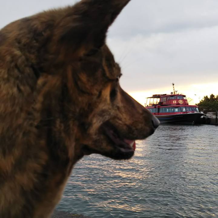 5d027c50 0c81 4928 9ec5 e5c0acac3e83 1524829147992