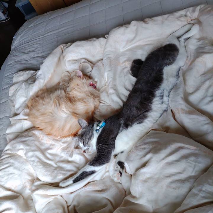 5d0284b5 b66d 47a2 b50e 03866782b7b6 1665361028703