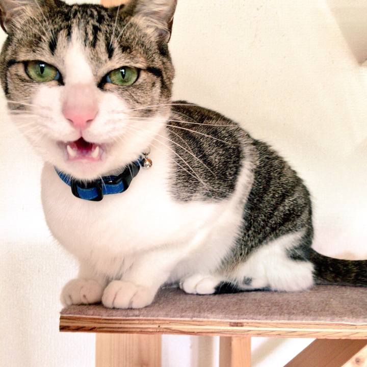 5d0294fe d763 4d26 a219 ee1414acf566 1512437860563