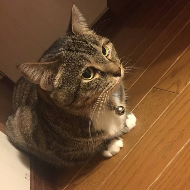 5d02b982 5753 43bb 94ee 9c1d59c454ff 1559322378237