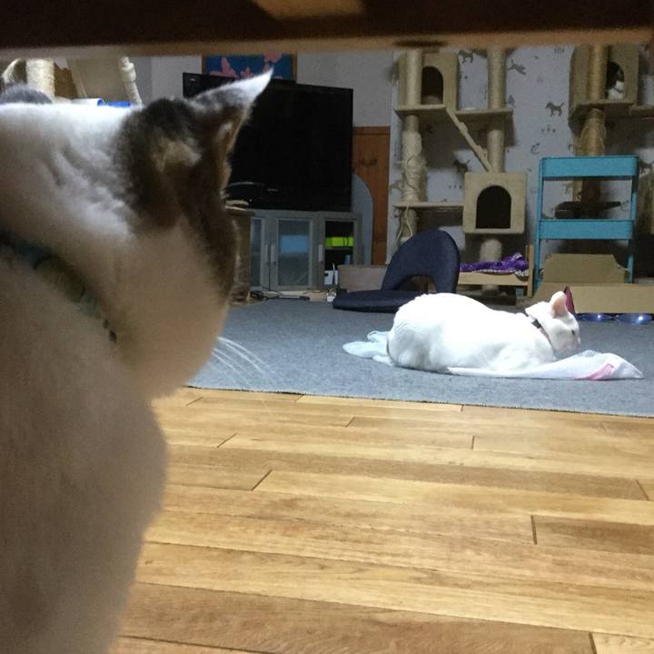 5d02bda3 1c47 4b75 a41f 5845373ec08e 1537725622619