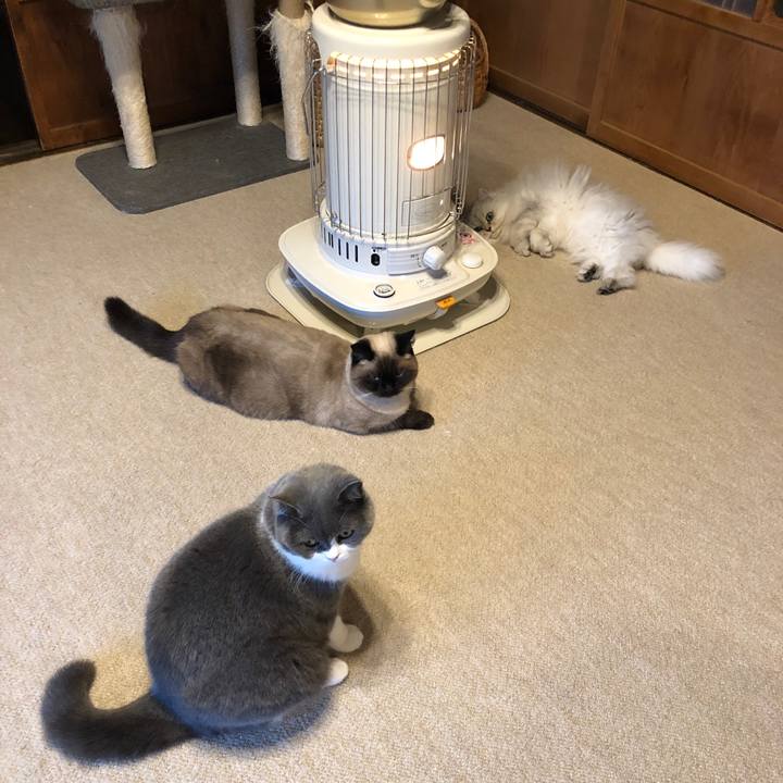 5d02c813 e594 4fb0 bf26 23a2ecd6e387 1609033209103