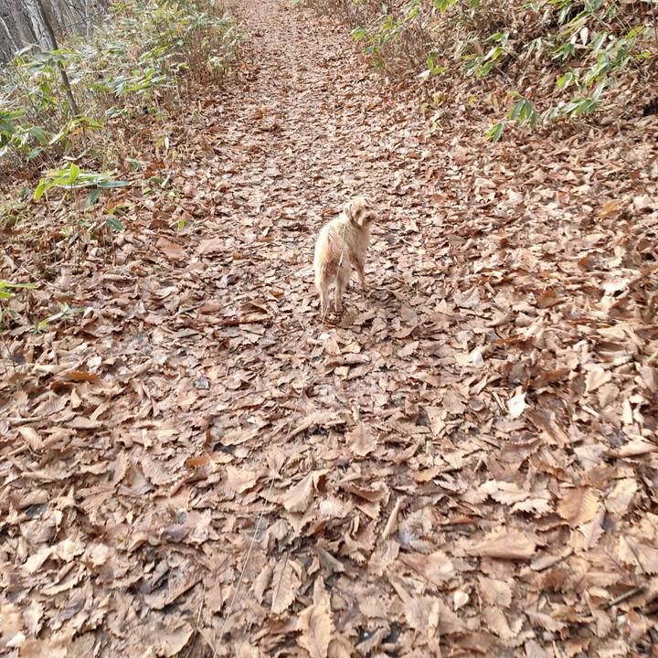 5d02ed68 3cfe 40e8 814d 99e98948156a 1605409380814