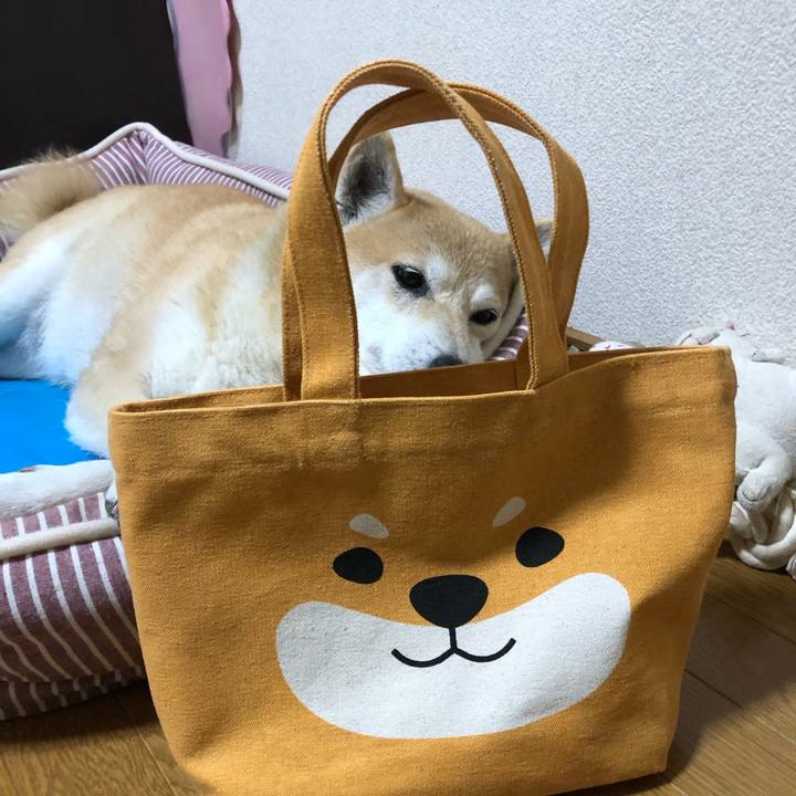 5d02eec3 dfc6 41b1 abd2 9ceba559130b 1599872911204