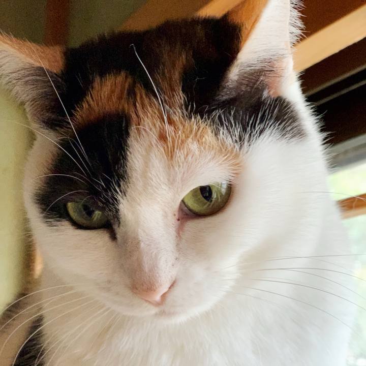 5d02f866 6d7b 4619 8e70 eebf7c7fc95b 1549679731464