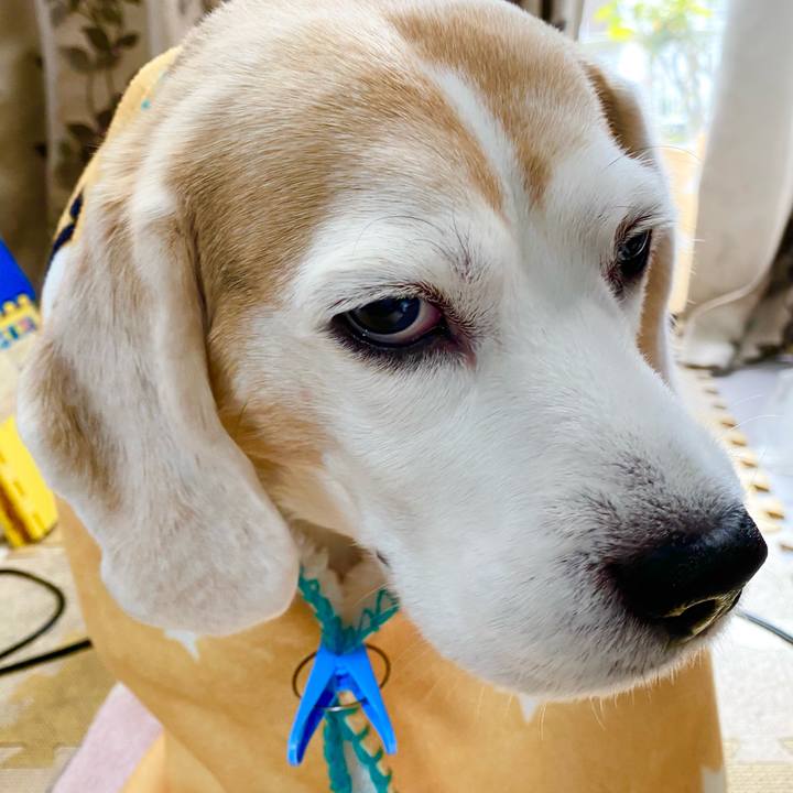 5d03530b 4b80 49ce 9090 722250936c5c 1611635144436