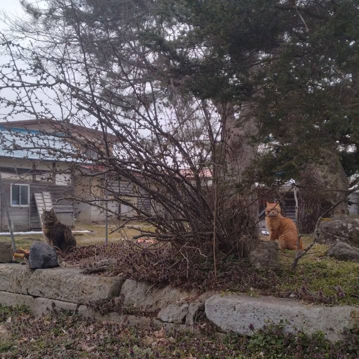 5d036a62 2988 47ac bcaf 1731458a473c 1711617221427