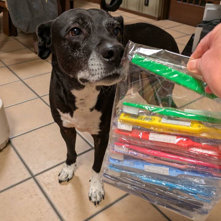 5d037af7 a0d7 499e 811a f8939c0f7890 1736247579545