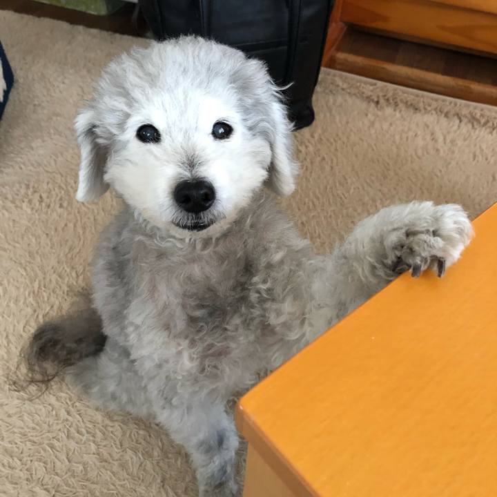 5d037e9d 3253 42cf af95 3d408cca7bf6 1584486384488