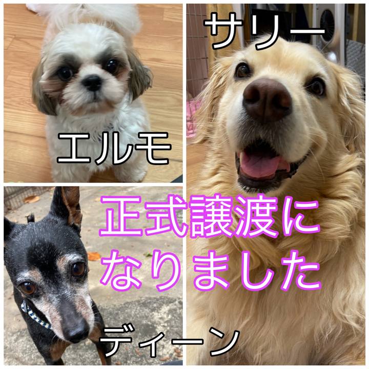 5d03b437 7f57 4e33 9693 2028d0cb928f 1701511428161