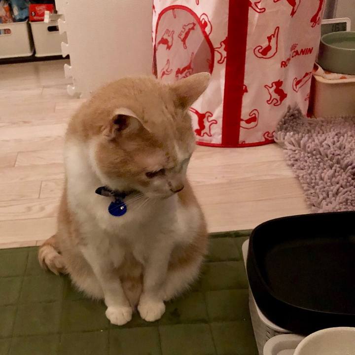 5d03d0bc d305 43b1 947a 1e7cc864c2f8 1548387273575