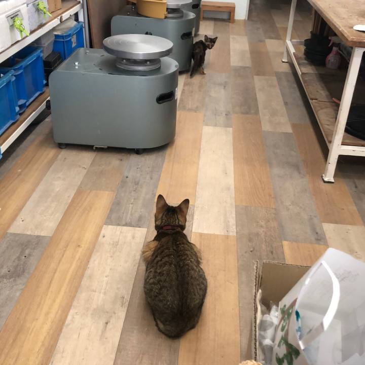 5d040819 3327 42b1 8367 36543f9d6073 1657631072161