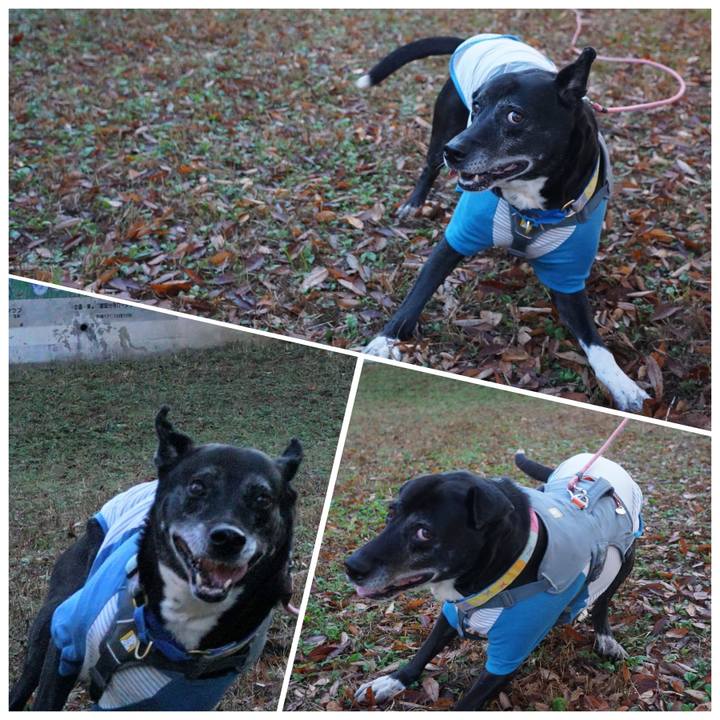 5d042aa0 1e00 47fd a2e2 e47eaa48072d 1763943066816