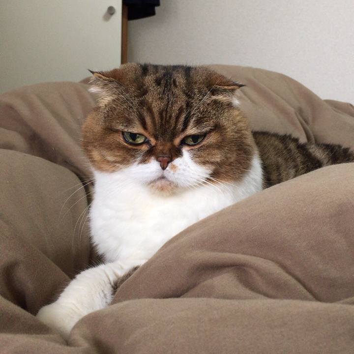 5d044dd7 a68e 4606 9219 11a47a17db2a 1511060234819