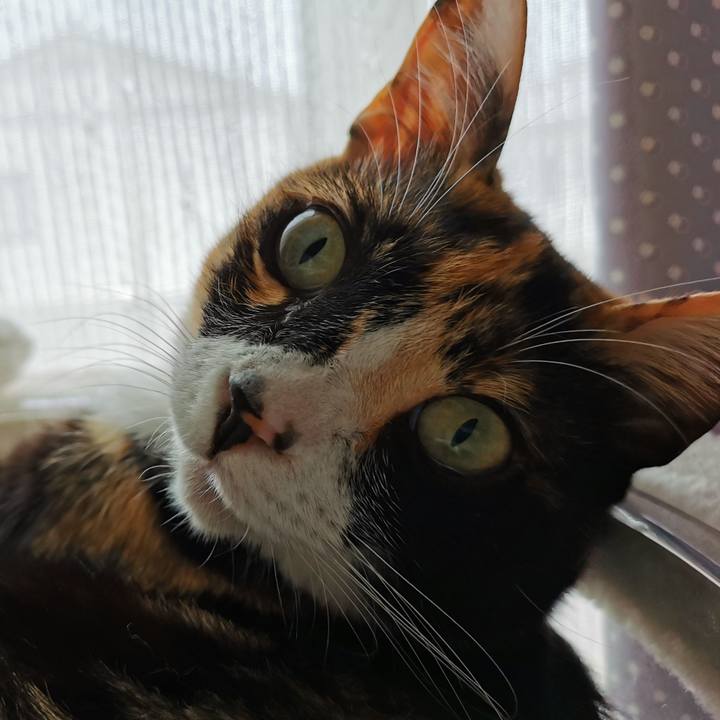 5d0457ff 56a2 4839 ae92 3991483ea0ce 1658113326810