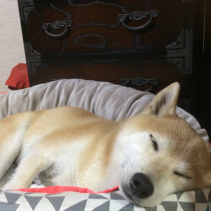 5d045fd4 cd30 4343 bf93 2dacaad684ce 1763963931034